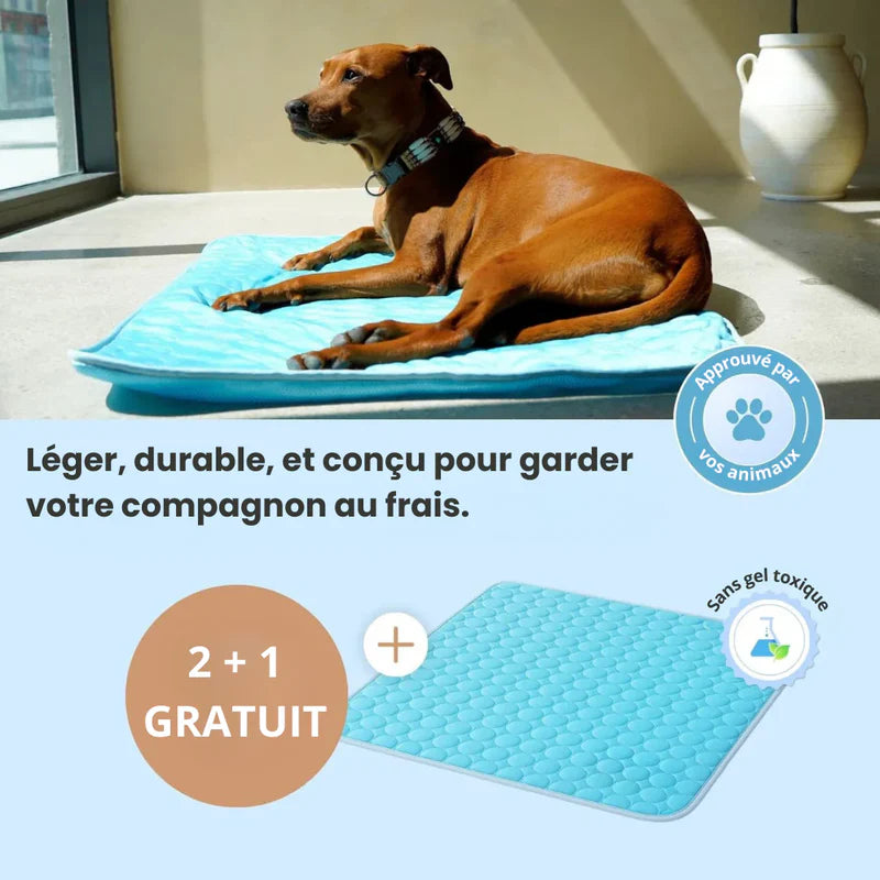 Nidyan - FreshPad™
