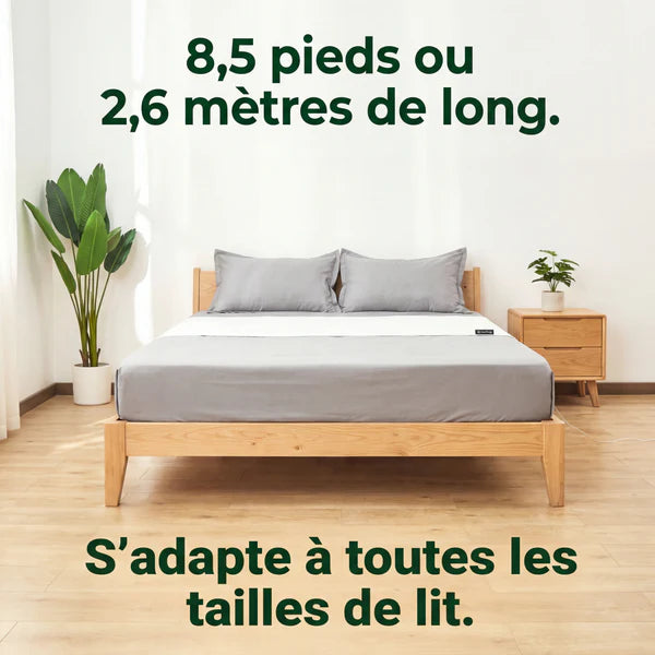 Nidyan Ground™ -  Drap de mise à la terre
